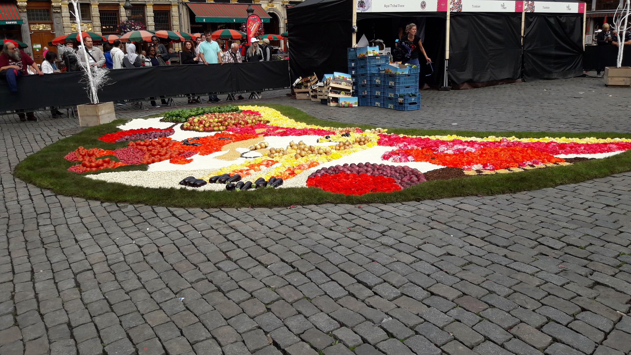 Flower Time, Brussels 2017