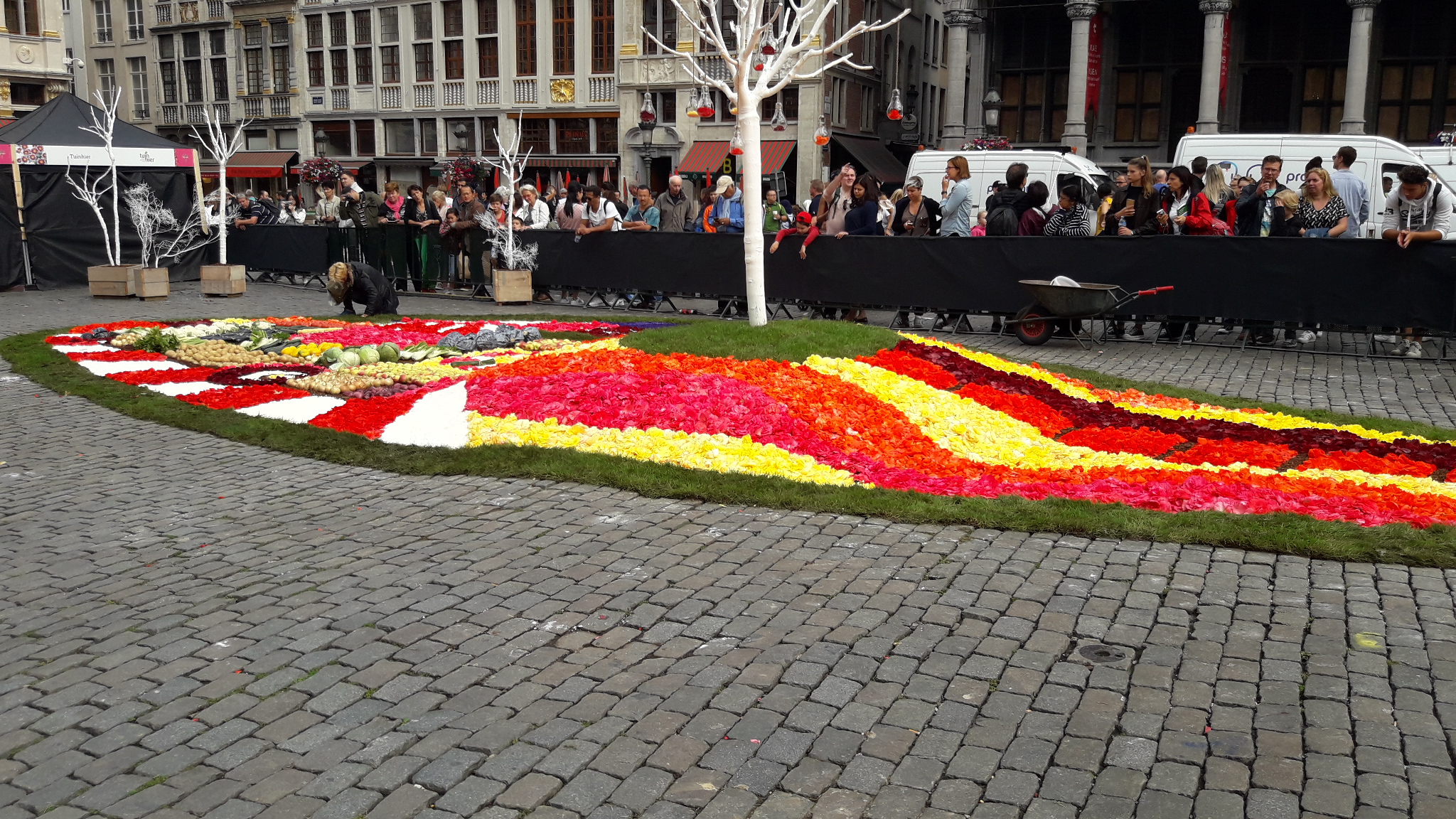 Flower Time, Brussels 2017