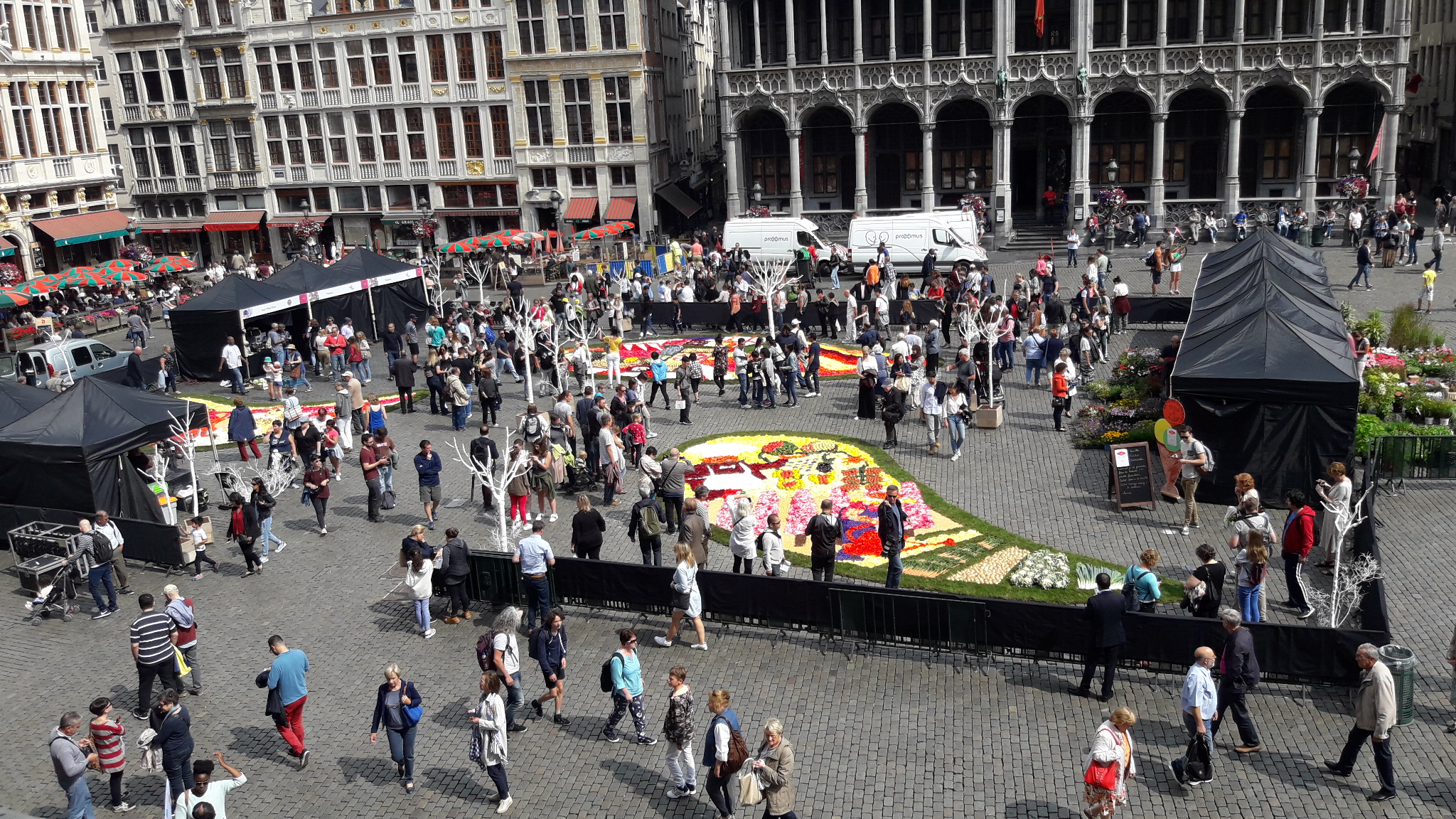 Flower Time, Brussels 2017