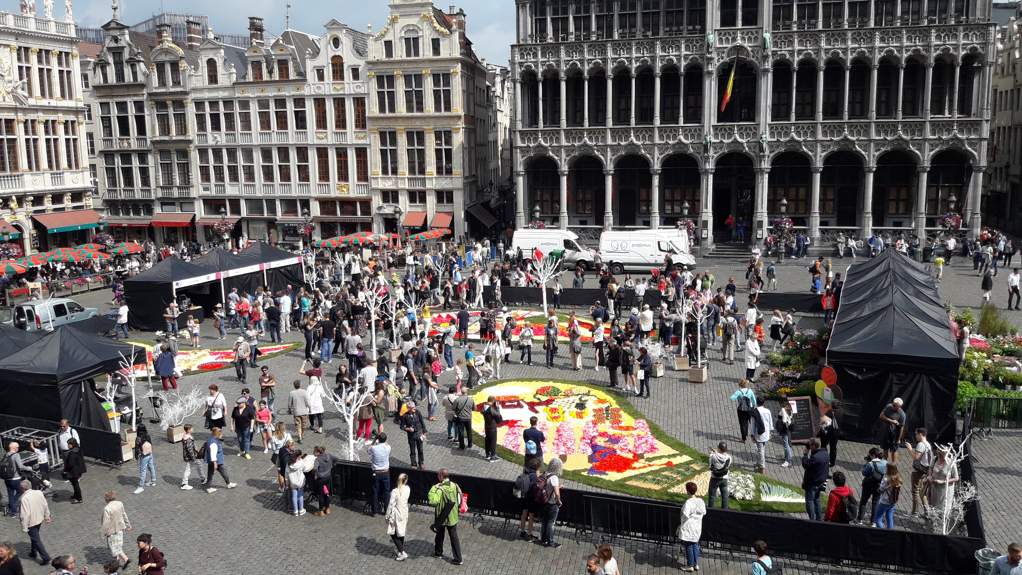 Flower Time, Brussels 2017