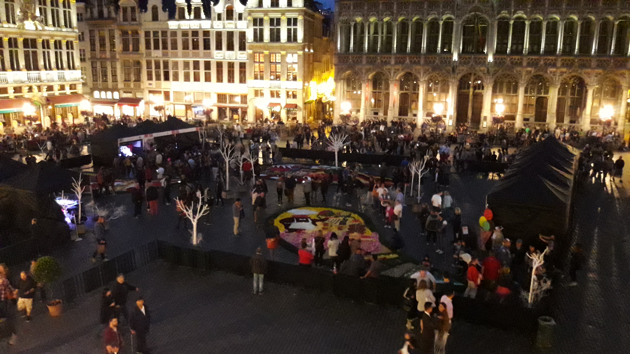 Flower Time, Brussels 2017