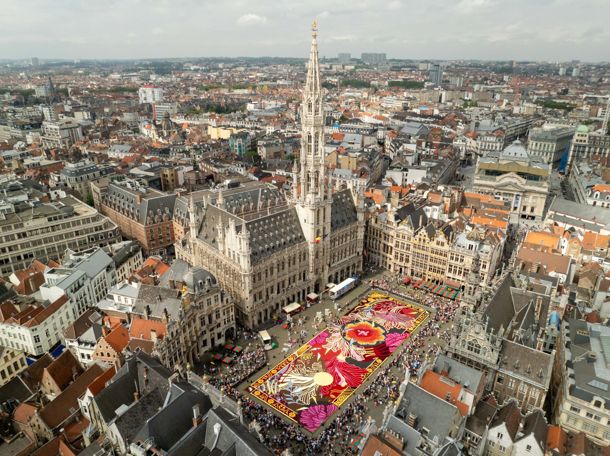 Flower Carpet Brussels 2024