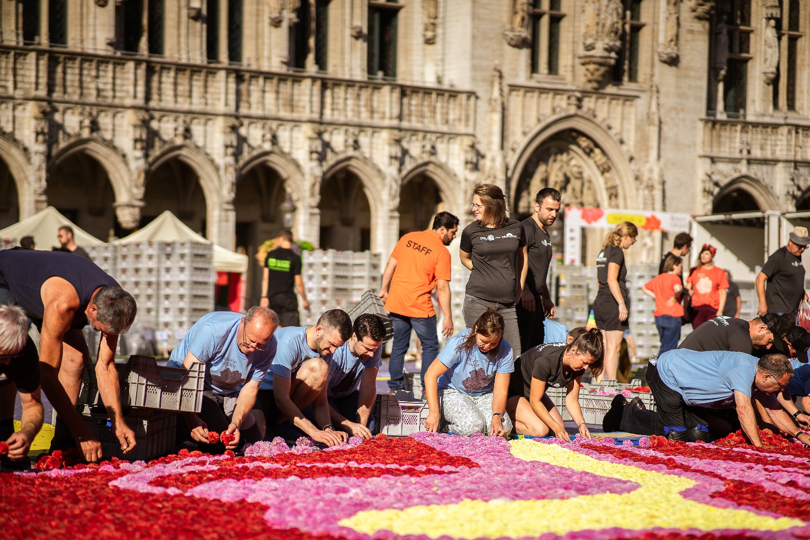 Flower Carpet 2024