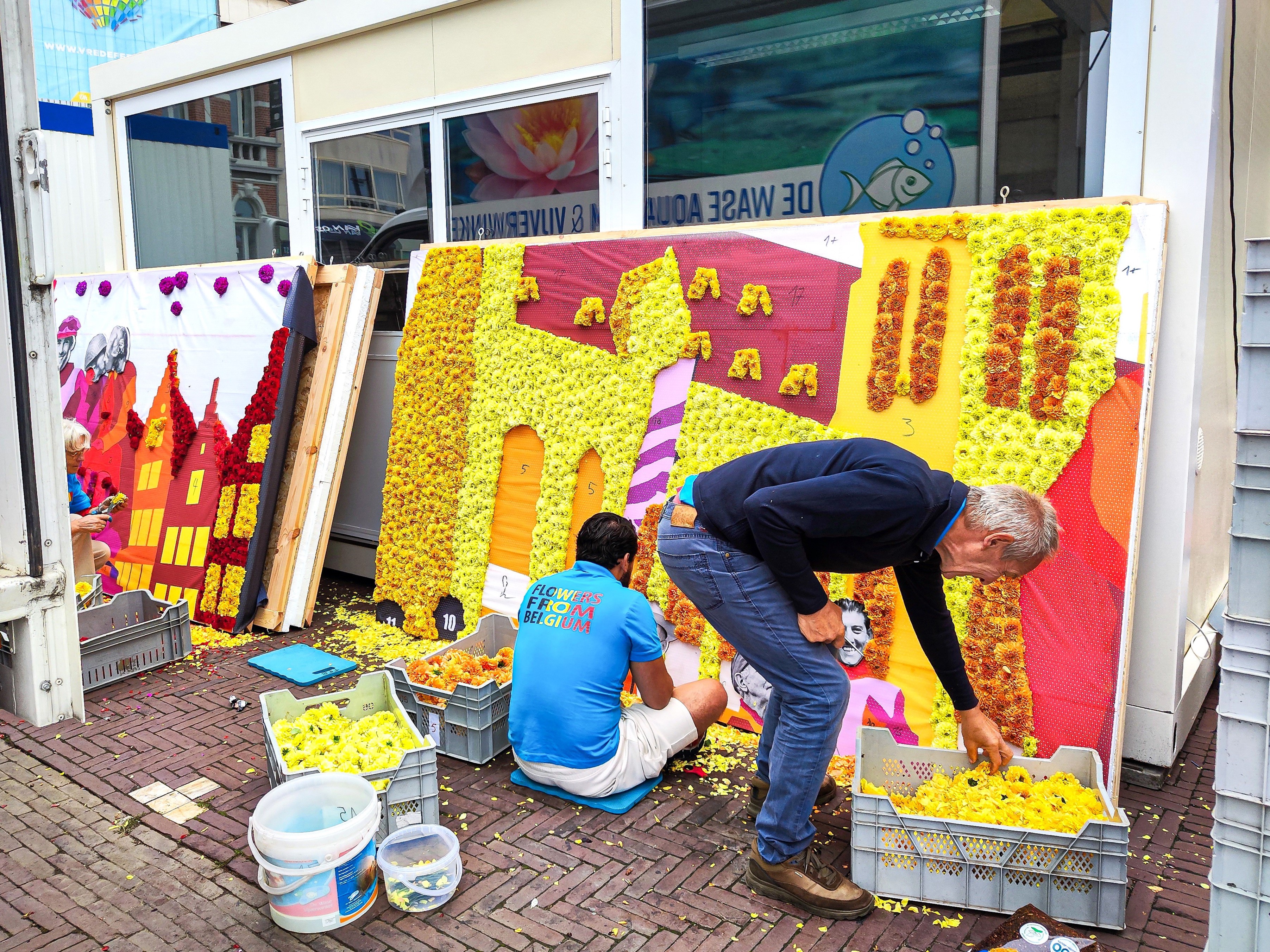 Flowers From Belgium