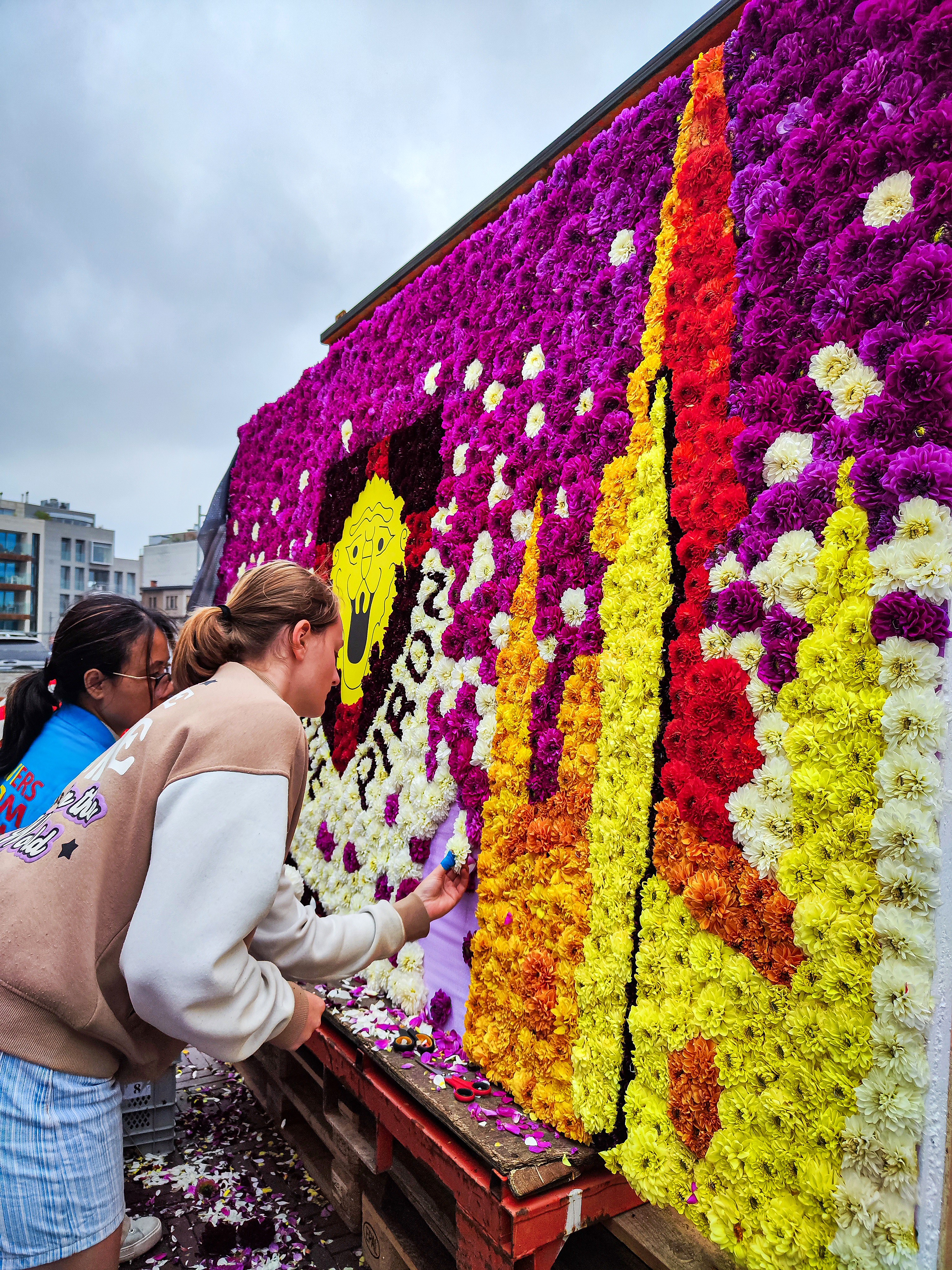 Flowers from Belgium