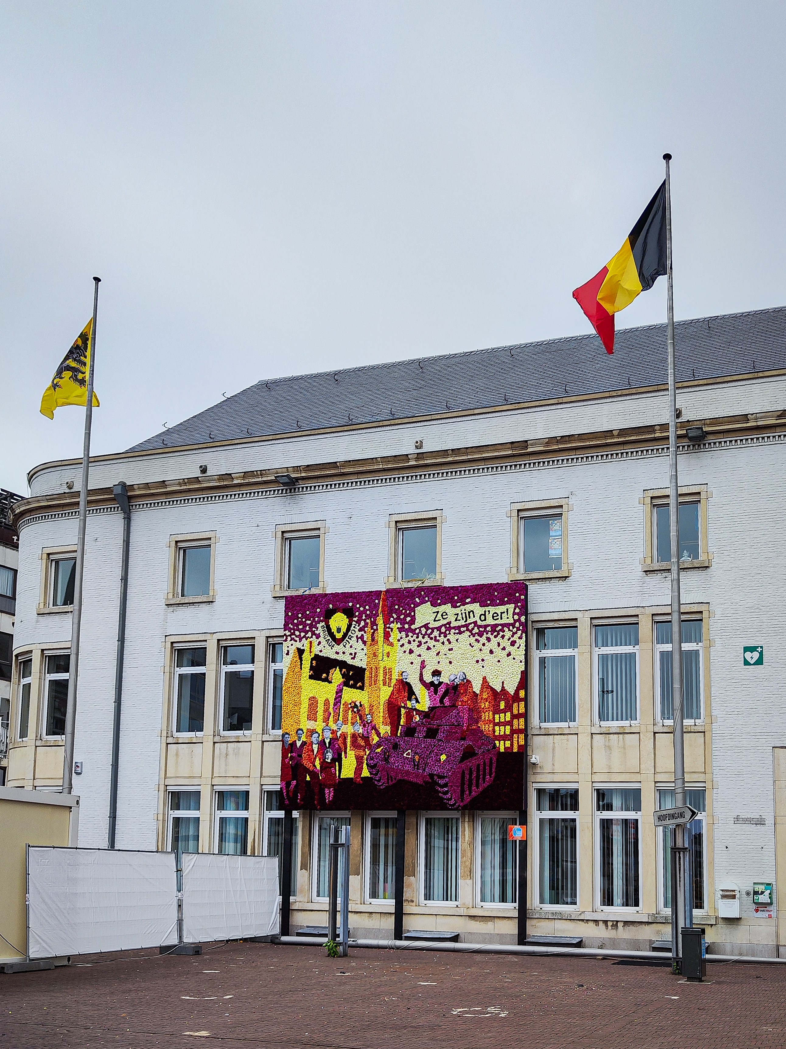 Flowers from Belgium